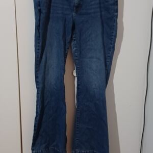 Lane Bryant Dark Blue Flare Jeans